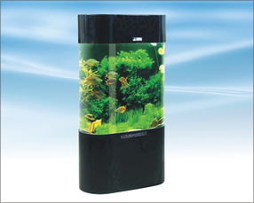 森森亞克力水族箱 打造靈動(dòng)家居水景的藝術(shù)之選